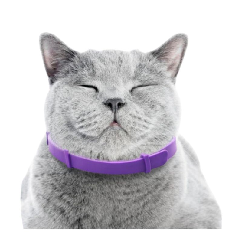 PETS ACCESORIOS - Collar Gato Relajante Feromonas Anti Estres Calma Mascotas