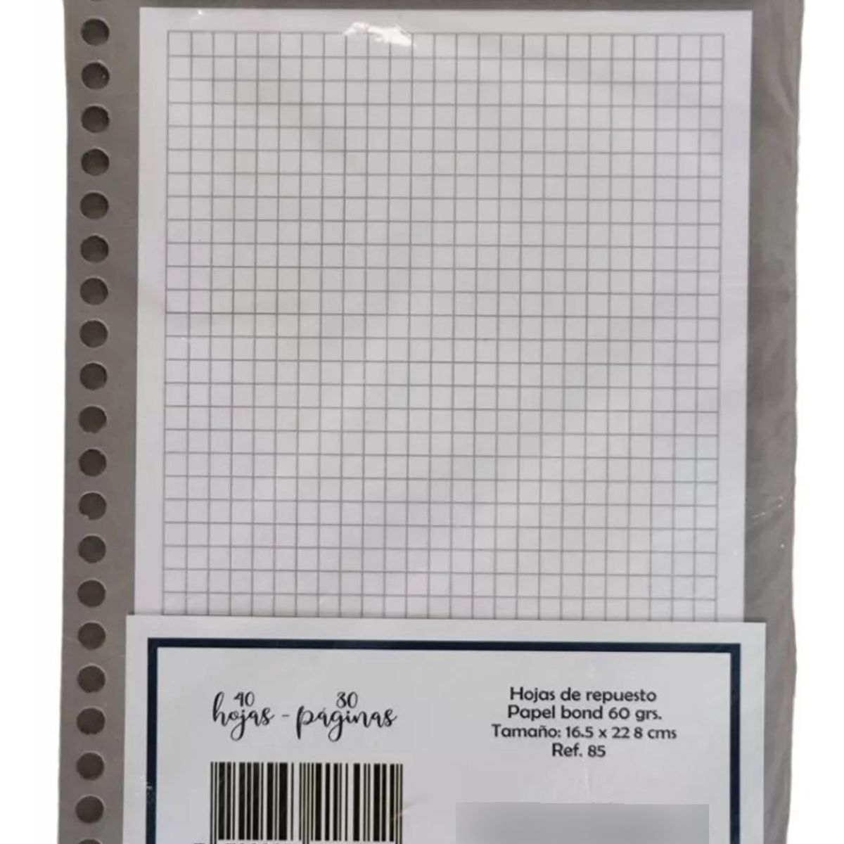 GENERICO - Repuesto X80 Hojas Cuaderno Agenda Cuadriculado Espiral Kit