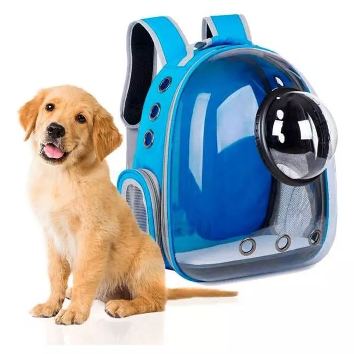 UNIVERSAL NUTRITION - Maleta para perro o gato Morral Mascotas