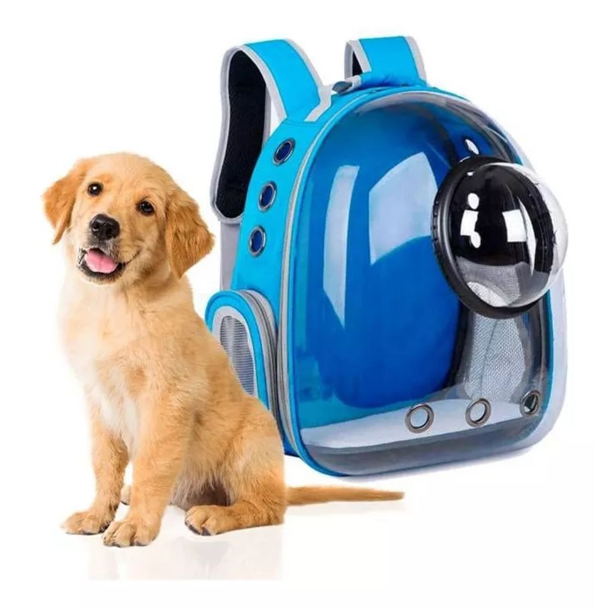 UNIVERSAL NUTRITION - Maleta para perro o gato Morral Mascotas