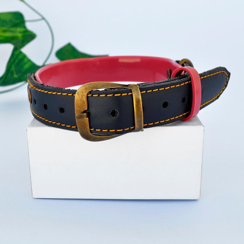AM MASCOTAS - Collar Para Mascota de Cuero Am Mascotas