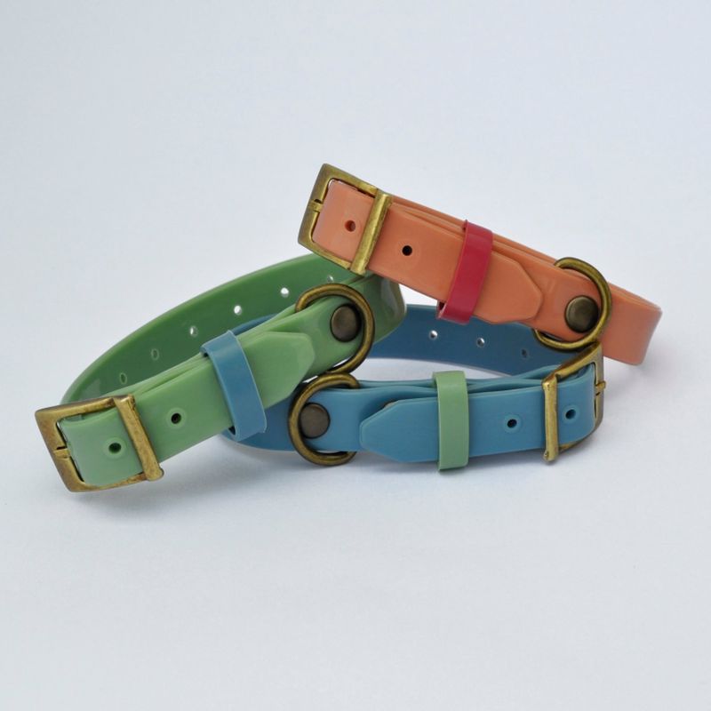 AM MASCOTAS - Collares Plásticos Para Mascotas M Am Mascotas