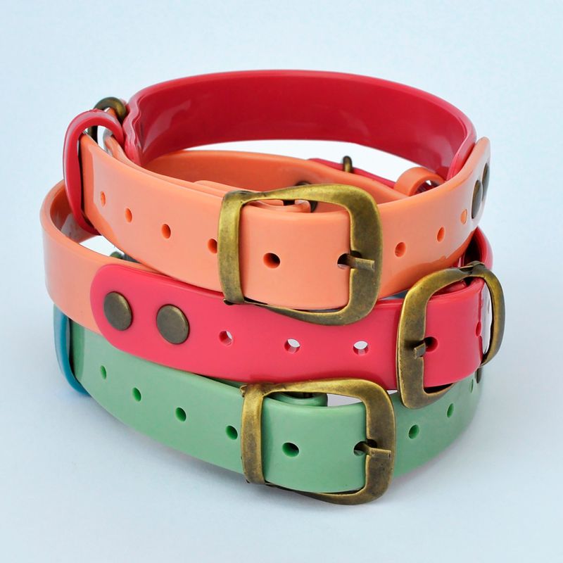 AM MASCOTAS - Collares Plásticos Para Mascotas L Am Mascotas