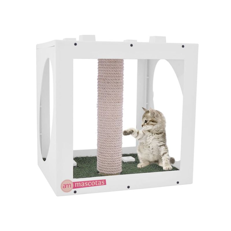 AM MASCOTAS - Kasa GYM Perro - Gato