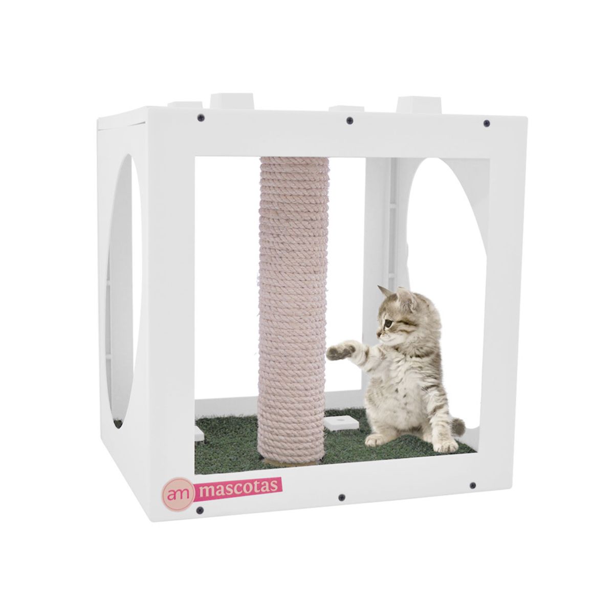 AM MASCOTAS - Kasa GYM Perro - Gato