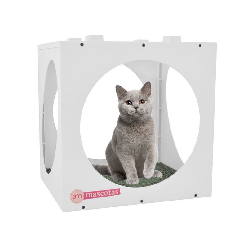 AM MASCOTAS - Kasa Círculos Perro - Gato