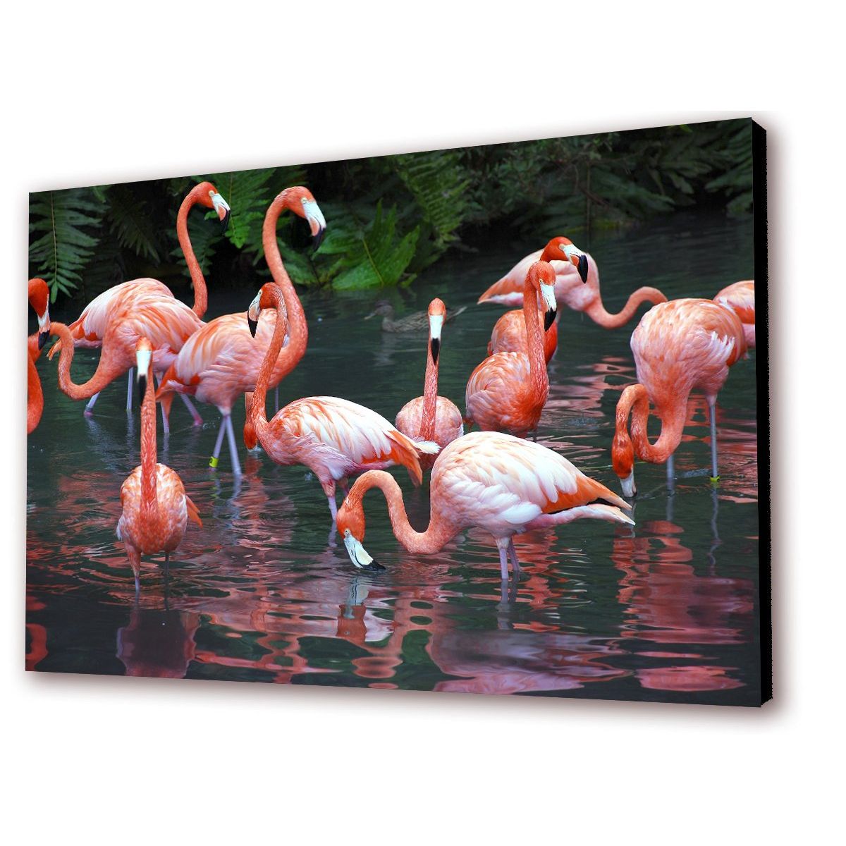 ART INDUSTRY - Cuadro 50x30cms Decorativo Flamengos 2