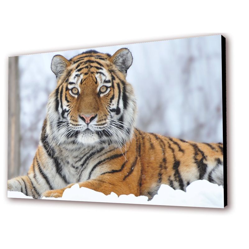 ART INDUSTRY - Cuadro 50x30cms Decorativo Tigre 1