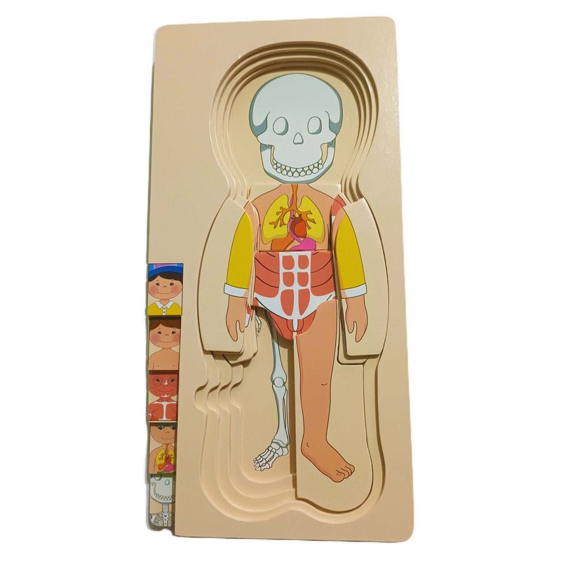 GENERICO - Super Rompecabezas Madera Sistemas Del Cuerpo Para Niños
