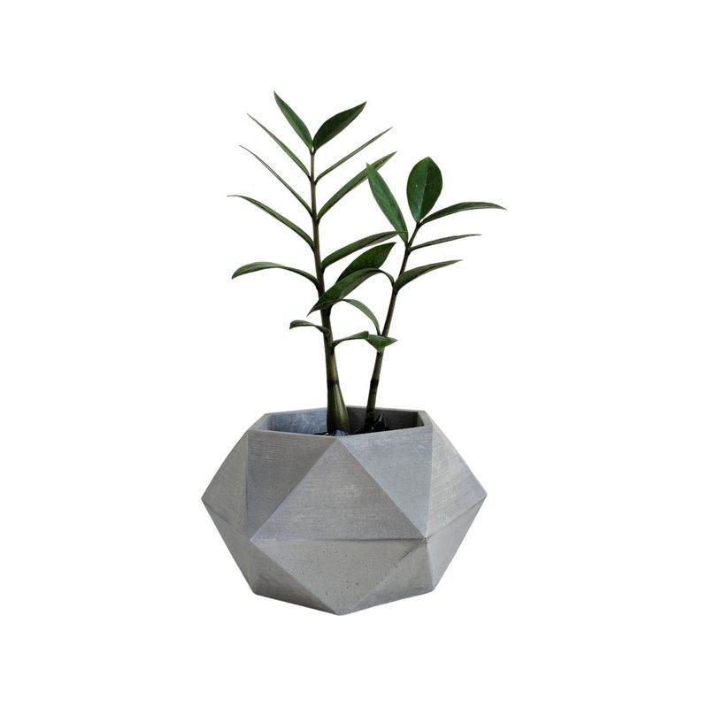 DE CONCRETO MATERAS Y DISEÑO - Matera Adara de Cemento 106x18x108 cm Gris