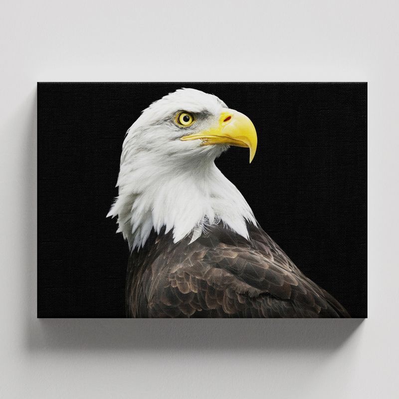 TAYRONA STORE - Cuadros Retablo Animales Aguilas 013 - 50x35cm