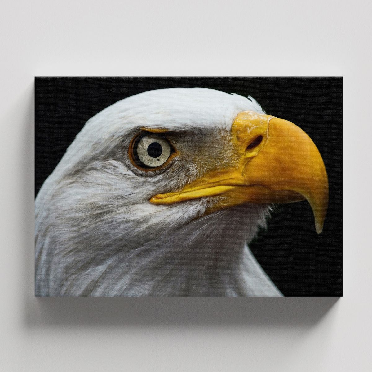 TAYRONA STORE - Cuadros Retablo Animales Aguilas 014 - 50x35cm