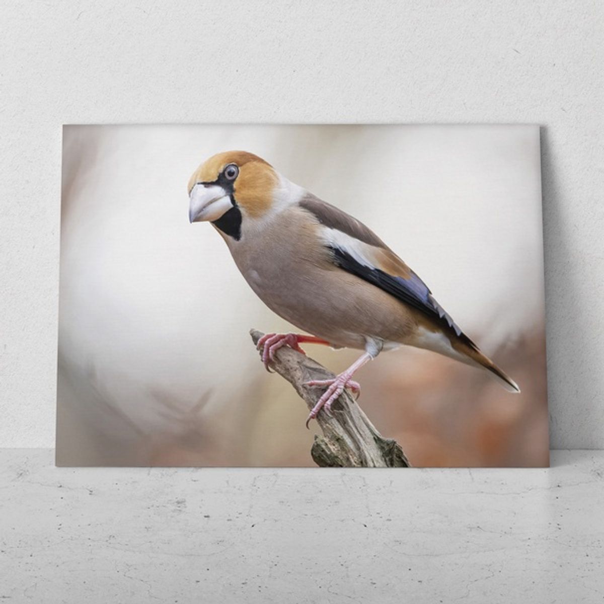 TAYRONA STORE - Cuadros Retablo Animales Pajaros 110 - 50x35cm