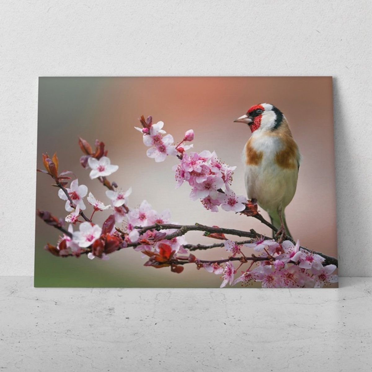 TAYRONA STORE - Cuadros Retablo Animales Pajaros 111 - 50x35cm