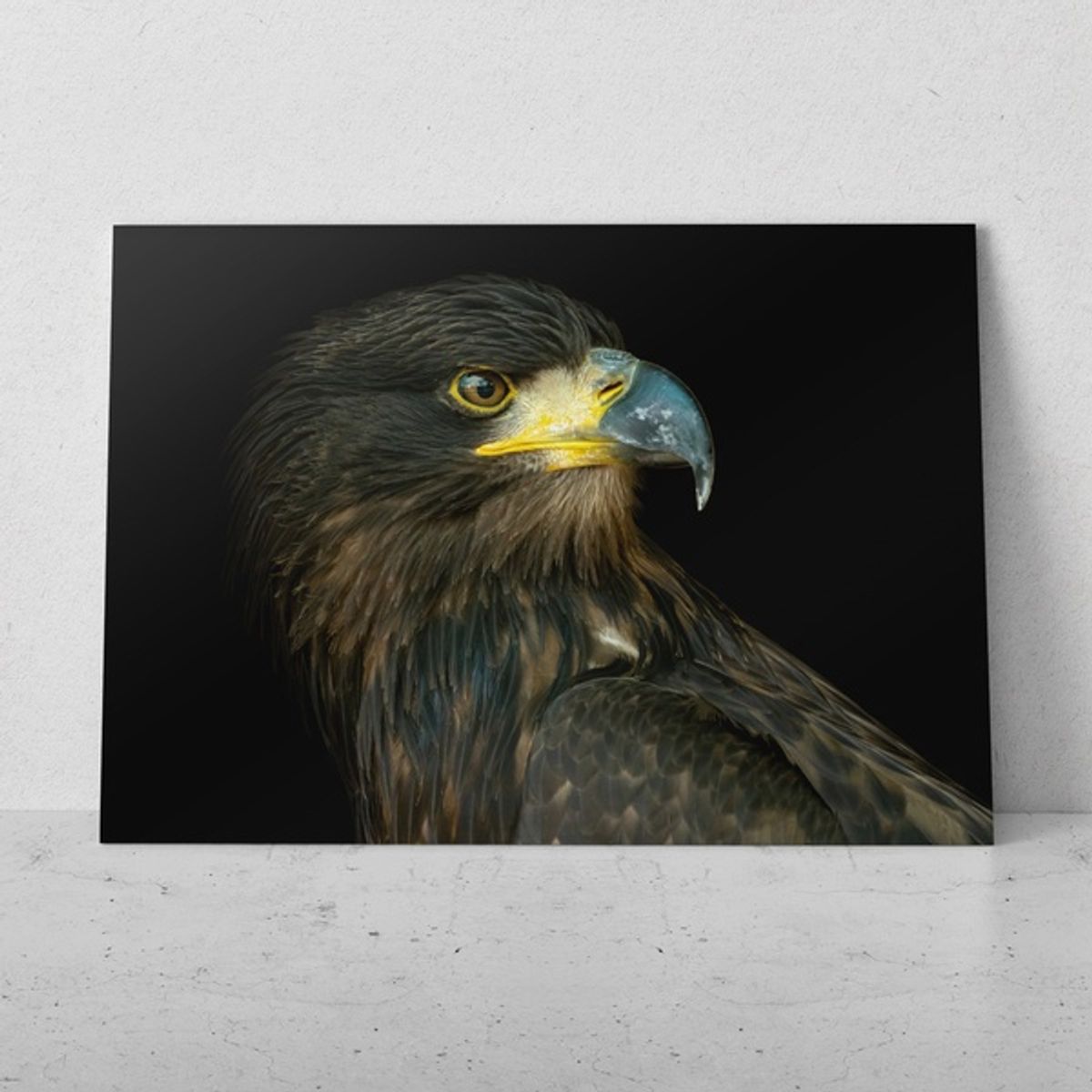 TAYRONA STORE - Cuadros Retablo Animales Pajaros 105 - 50x35cm