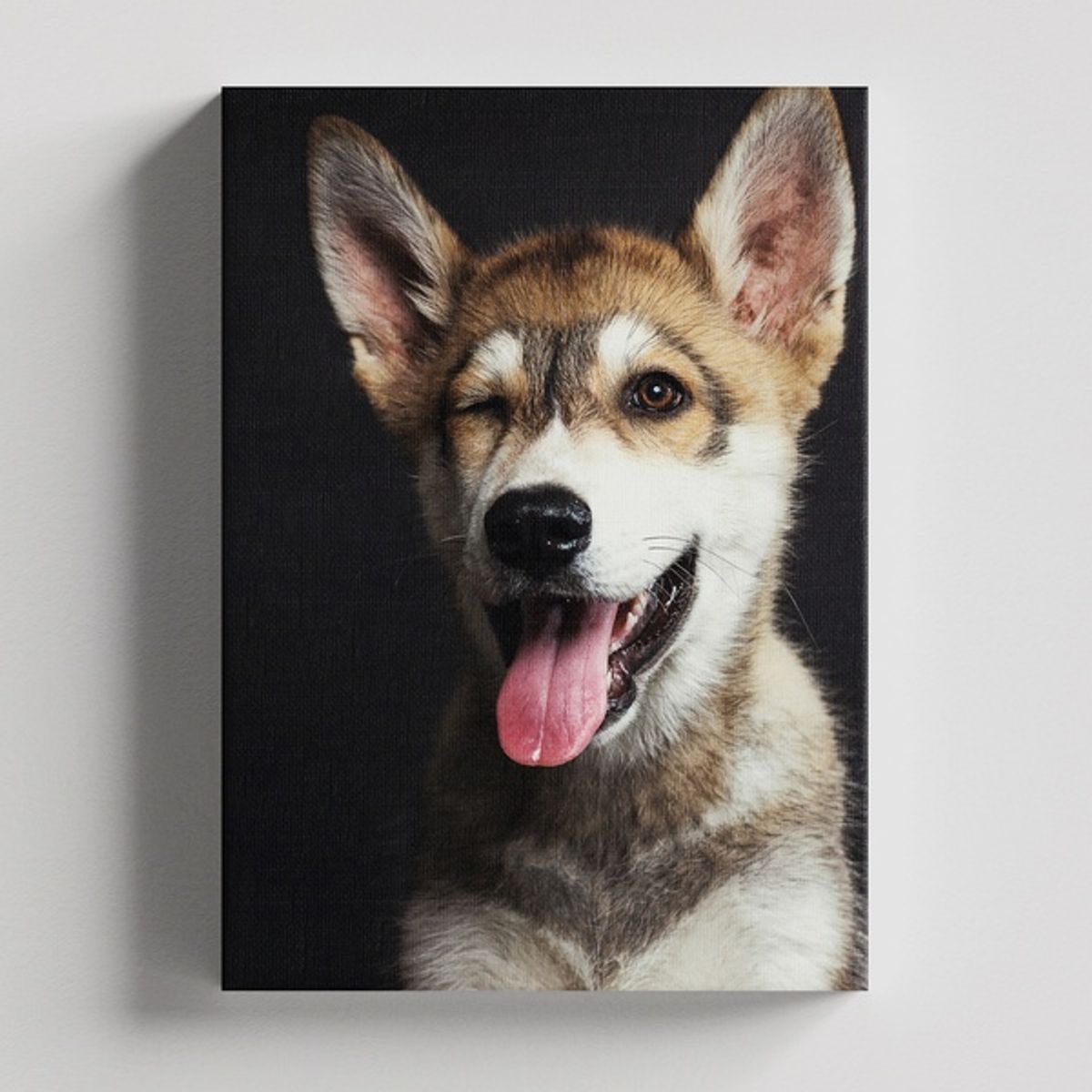 TAYRONA STORE - Cuadros Retablo Animales Perro 285 - 35x50cm