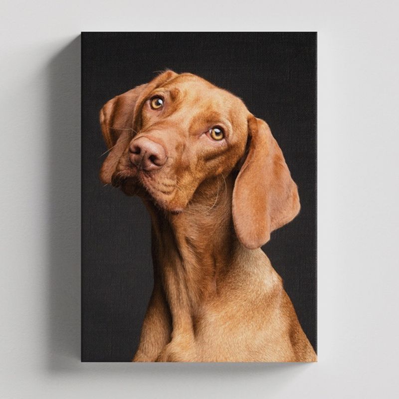 TAYRONA STORE - Cuadros Retablo Animales Perro 289 - 35x50cm