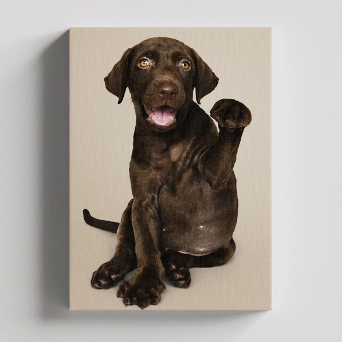 TAYRONA STORE - Cuadros Retablo Animales Perro 294 - 35x50cm