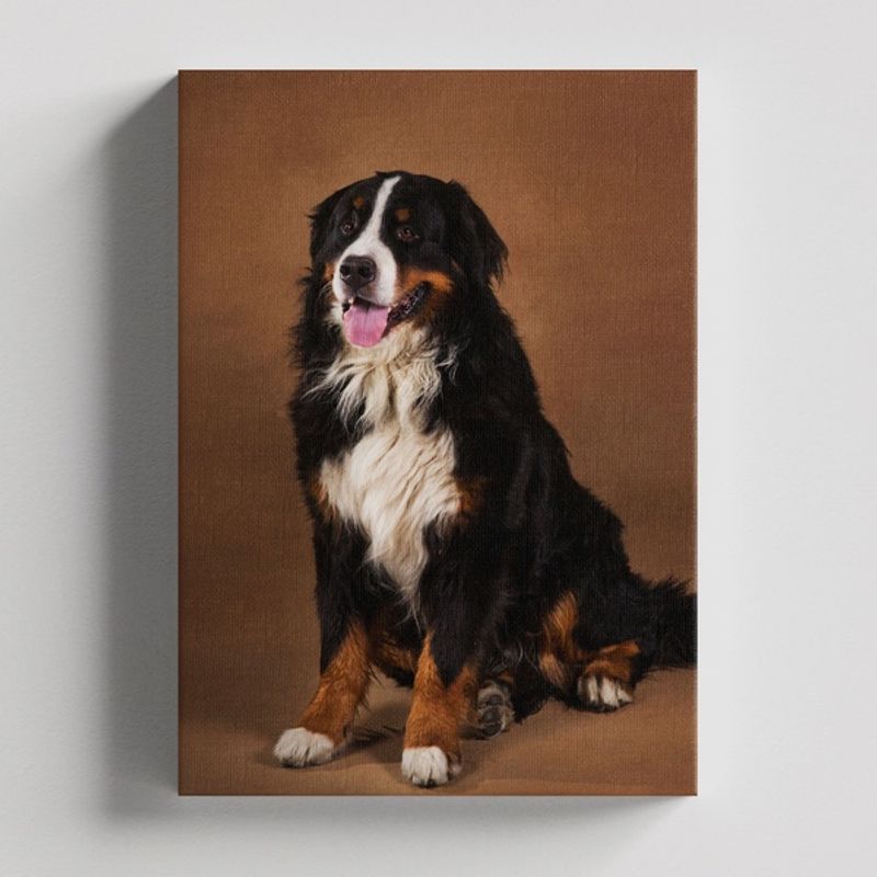 TAYRONA STORE - Cuadros Retablo Animales Perro 320 - 35x50cm