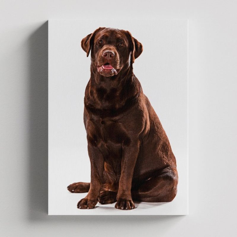 TAYRONA STORE - Cuadros Retablo Animales Perro 321 - 35x50cm