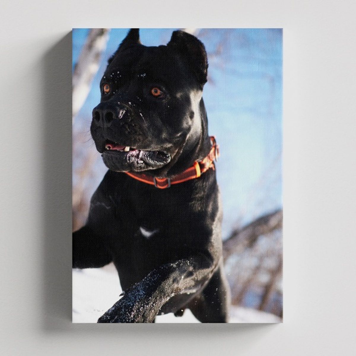 TAYRONA STORE - Cuadros Retablo Animales Perro 329 - 35x50cm