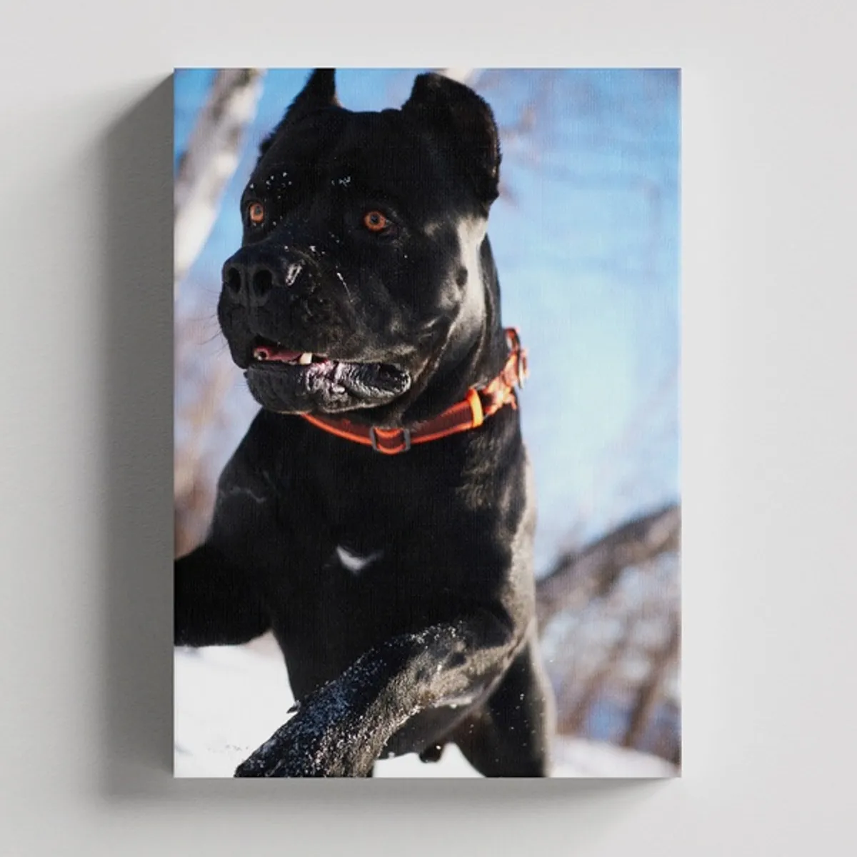 TAYRONA STORE - Cuadros Retablo Animales Perro 329 - 35x50cm