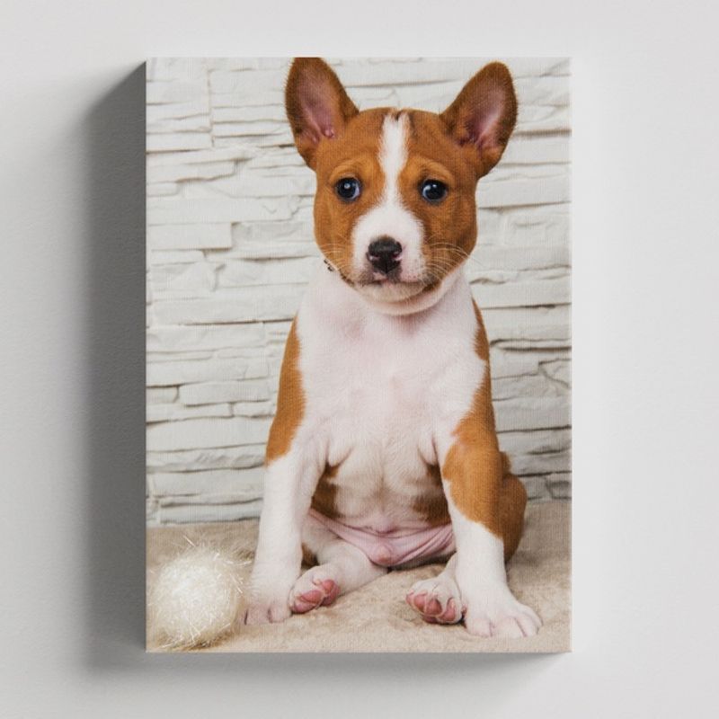TAYRONA STORE - Cuadros Retablo Animales Perro 332 - 35x50cm