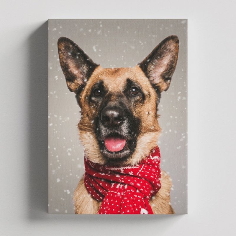 TAYRONA STORE - Cuadros Retablo Animales Perro 339 - 35x50cm