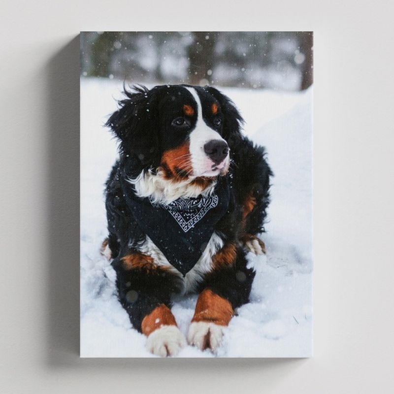 TAYRONA STORE - Cuadros Retablo Animales Perro 342 - 35x50cm