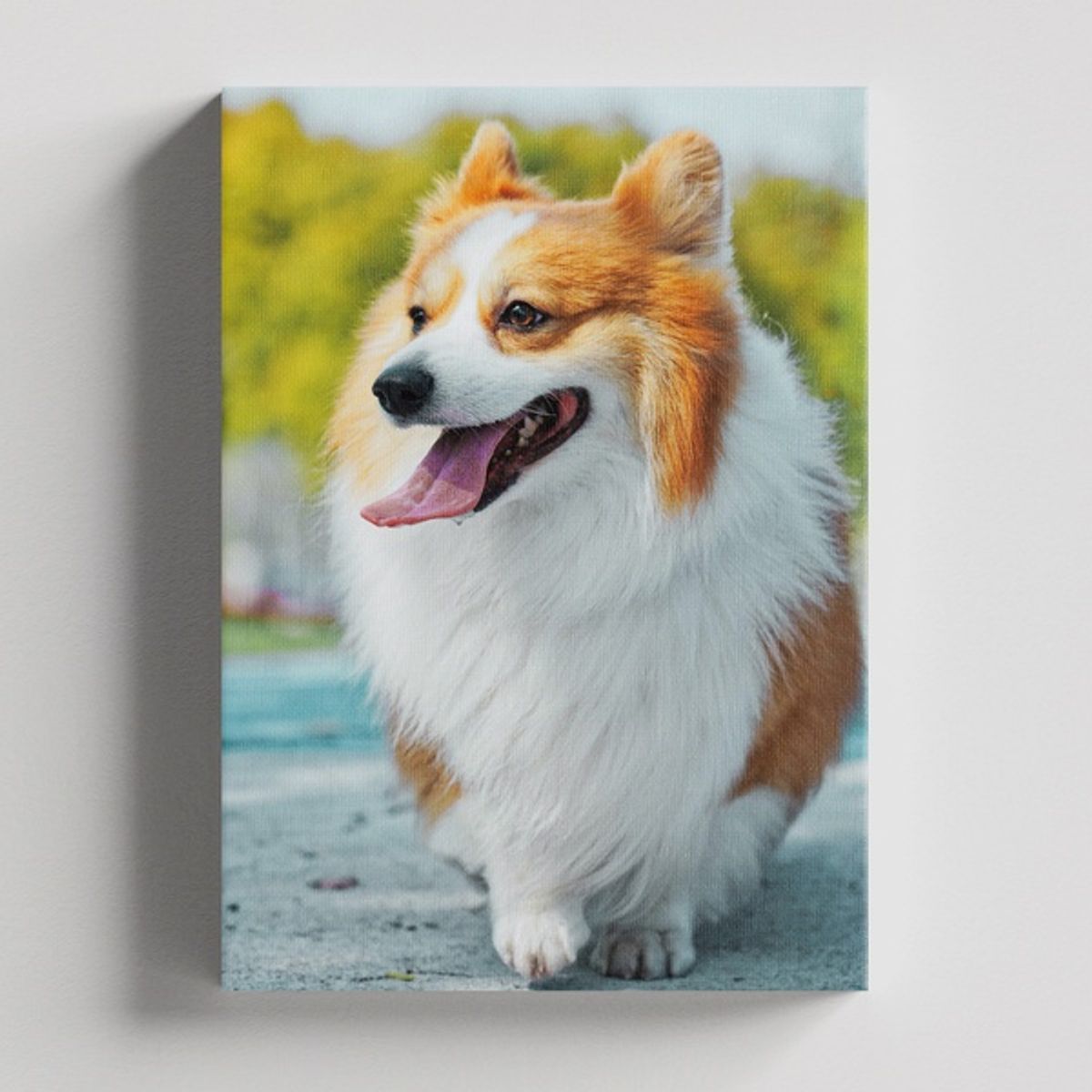 TAYRONA STORE - Cuadros Retablo Animales Perro 343 - 35x50cm