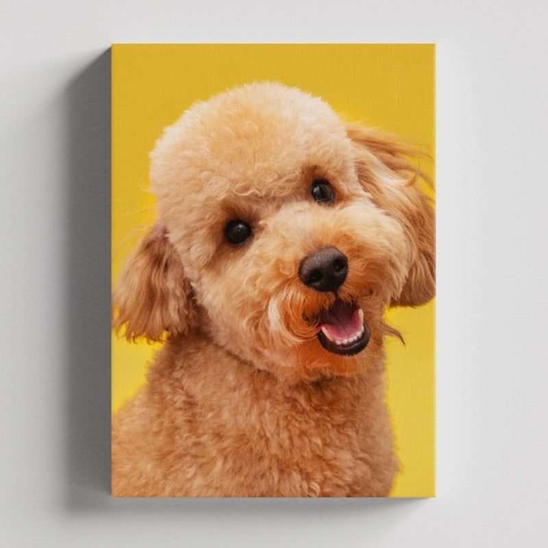 TAYRONA STORE - Cuadros Retablo Animales Perro 346 - 35x50cm