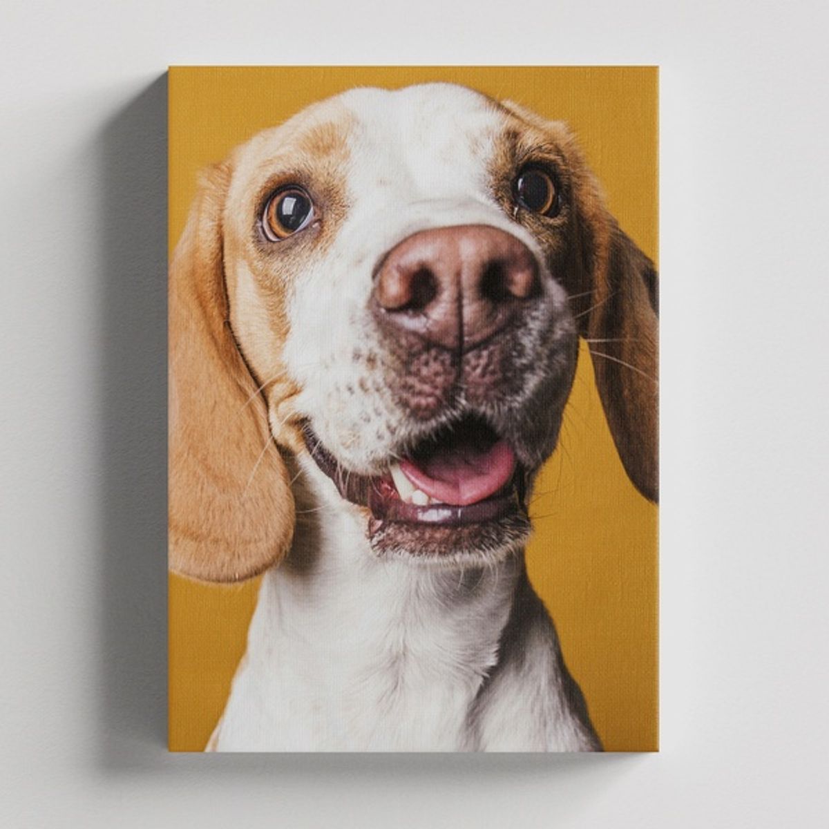 TAYRONA STORE - Cuadros Retablo Animales Perro 355 - 35x50cm