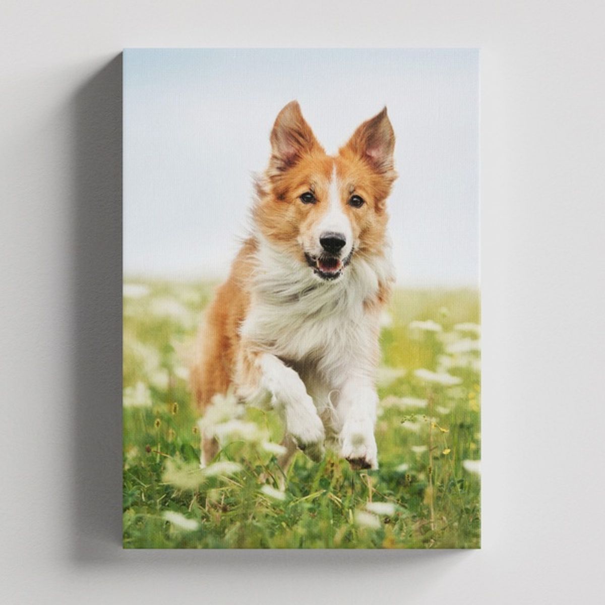 TAYRONA STORE - Cuadros Retablo Animales Perro 361 - 35x50cm