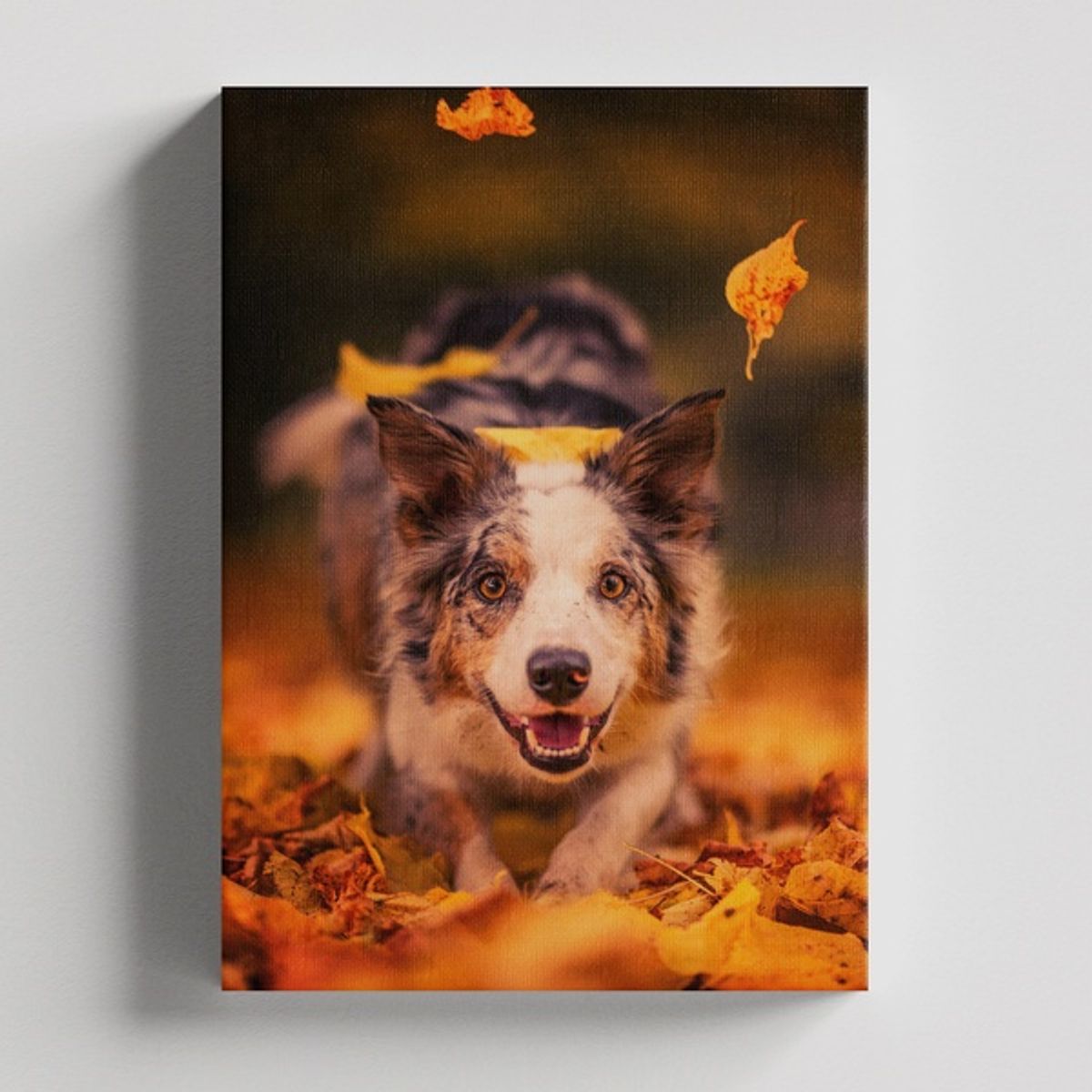 TAYRONA STORE - Cuadros Retablo Animales Perro 363 - 35x50cm