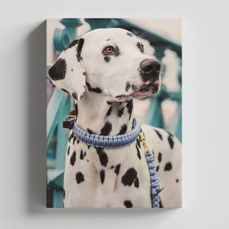 TAYRONA STORE - Cuadros Retablo Animales Perro 368 - 35x50cm