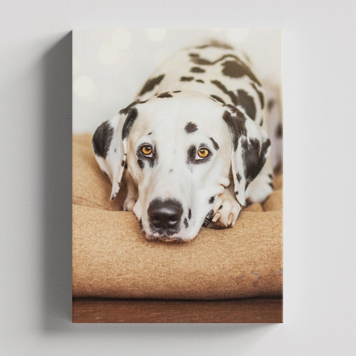 TAYRONA STORE - Cuadros Retablo Animales Perro 371 - 35x50cm