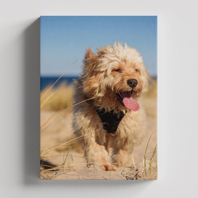 TAYRONA STORE - Cuadros Retablo Animales Perro 372 - 35x50cm