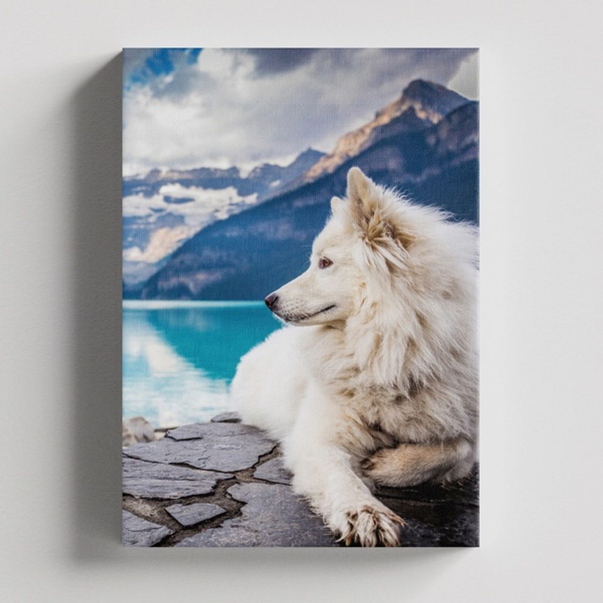 TAYRONA STORE - Cuadros Retablo Animales Perro 370 - 35x50cm.