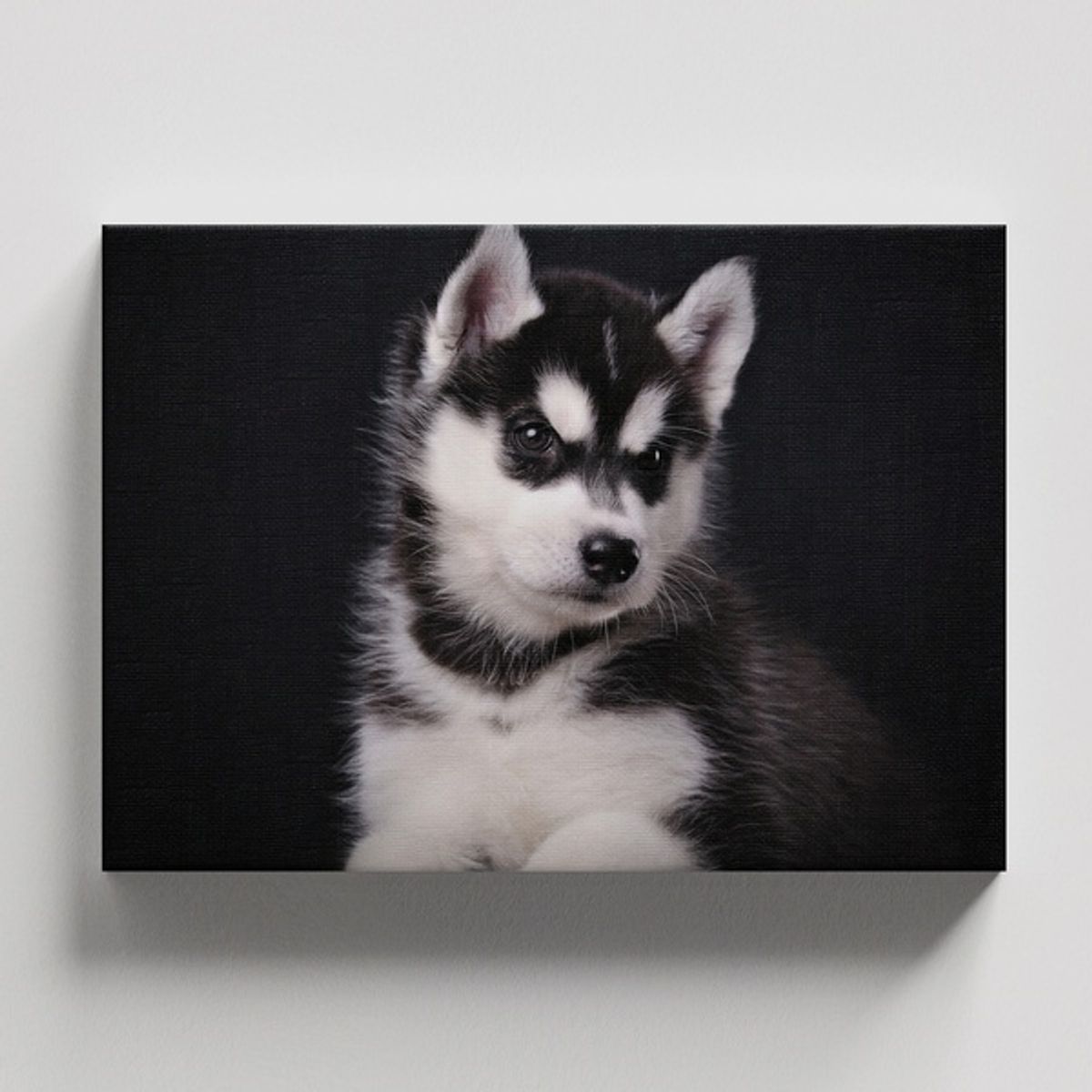 TAYRONA STORE - Cuadros Retablo Animales Perro 439 - 50x35cm