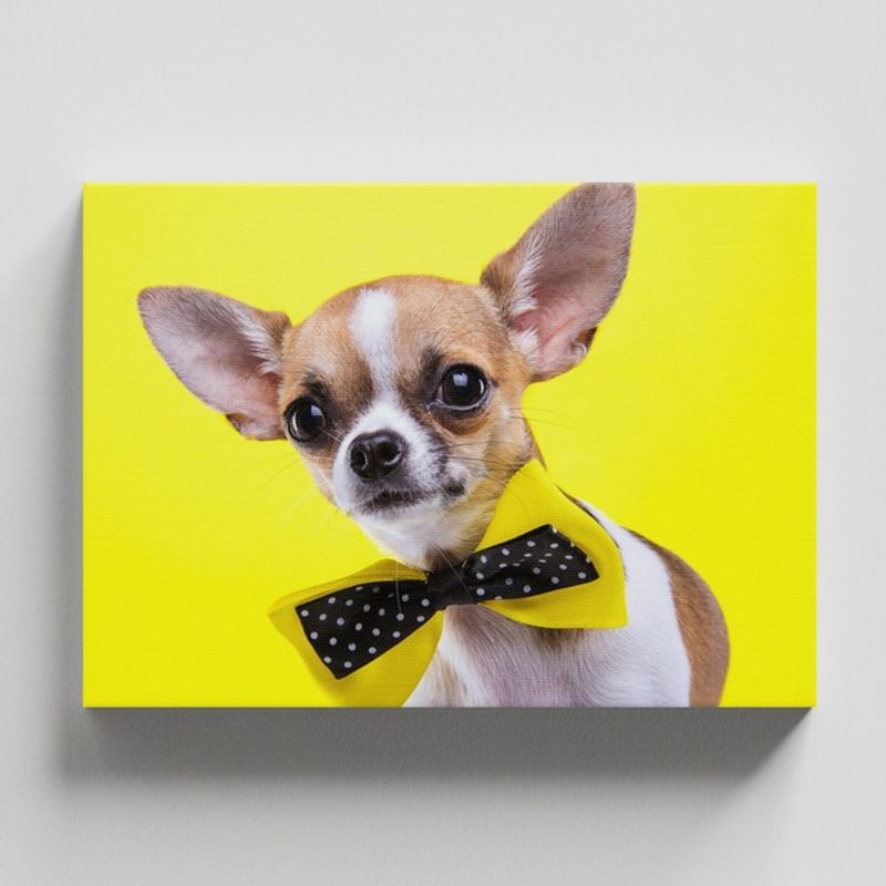 TAYRONA STORE - Cuadros Retablo Animales Perro 448 - 50x35cm