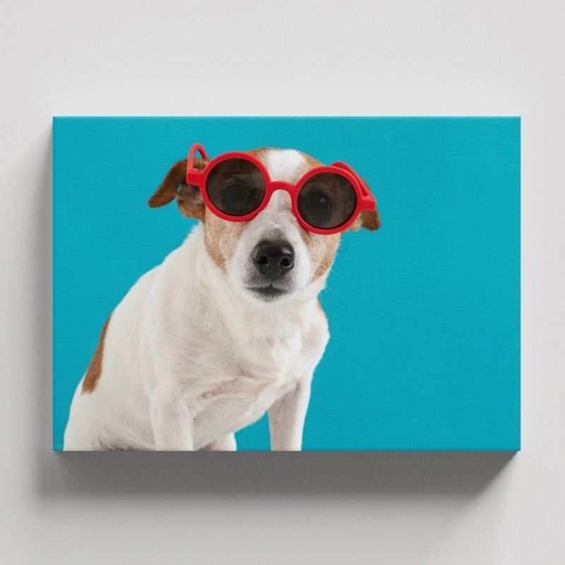 TAYRONA STORE - Cuadros Retablo Animales Perro 447 - 50x35cm