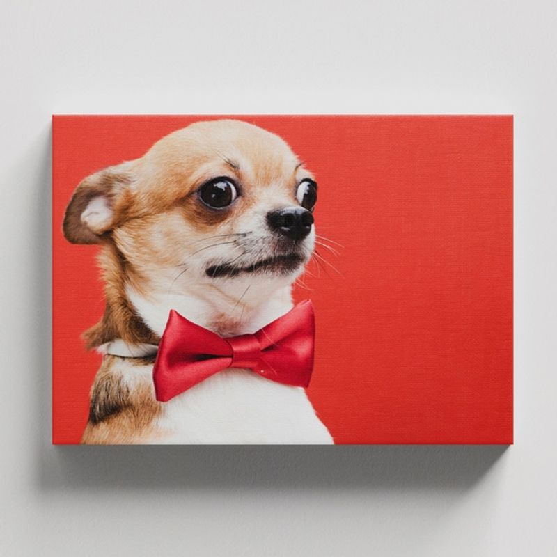 TAYRONA STORE - Cuadros Retablo Animales Perro 449 - 50x35cm