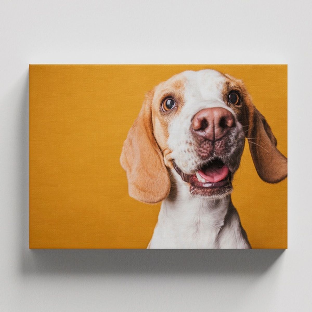 TAYRONA STORE - Cuadros Retablo Animales Perro 456 - 50x35cm