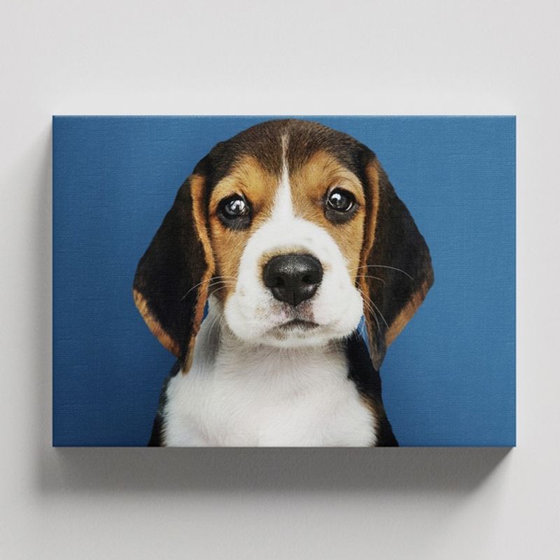 TAYRONA STORE - Cuadros Retablo Animales Perro 458 - 50x35cm