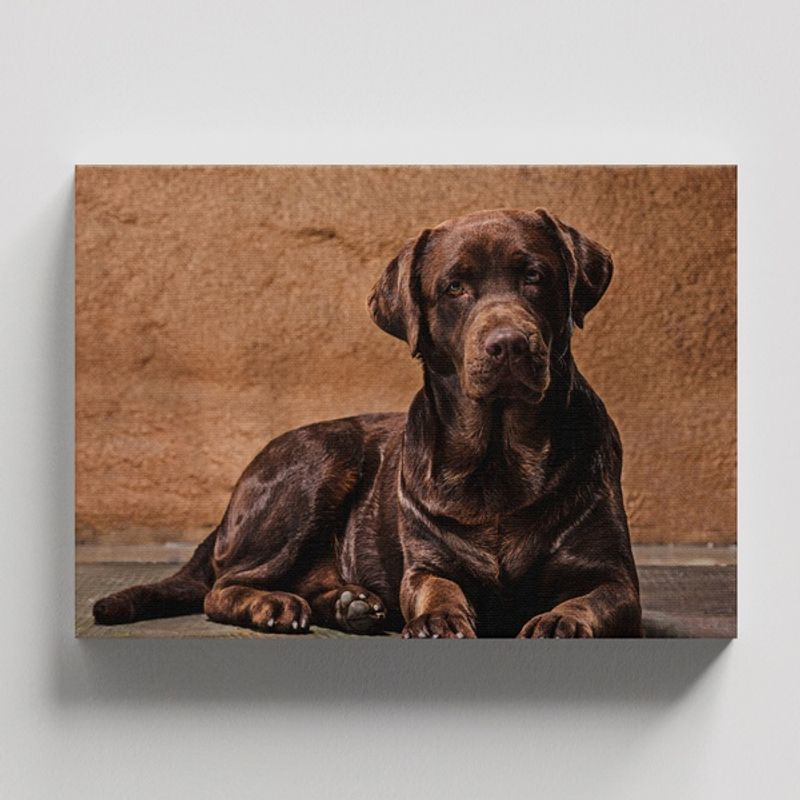 TAYRONA STORE - Cuadros Retablo Animales Perro 463 - 50x35cm