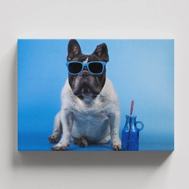 TAYRONA STORE - Cuadros Retablo Animales Perro 459 - 50x35cm