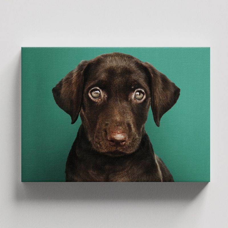 TAYRONA STORE - Cuadros Retablo Animales Perro 457 - 50x35cm