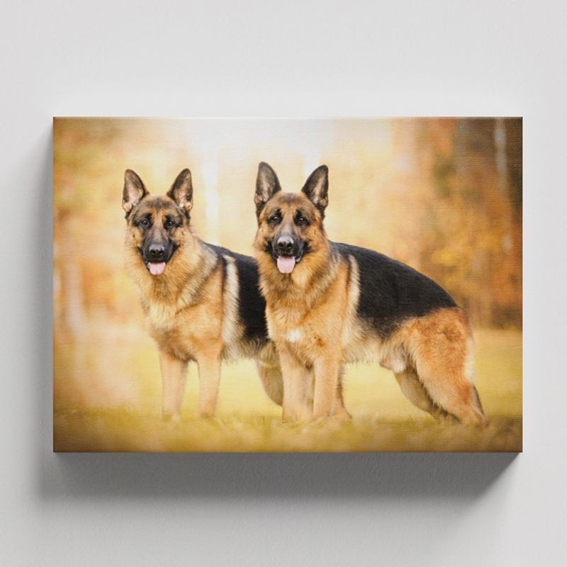 TAYRONA STORE - Cuadros Retablo Animales Perro 479 - 50x35cm
