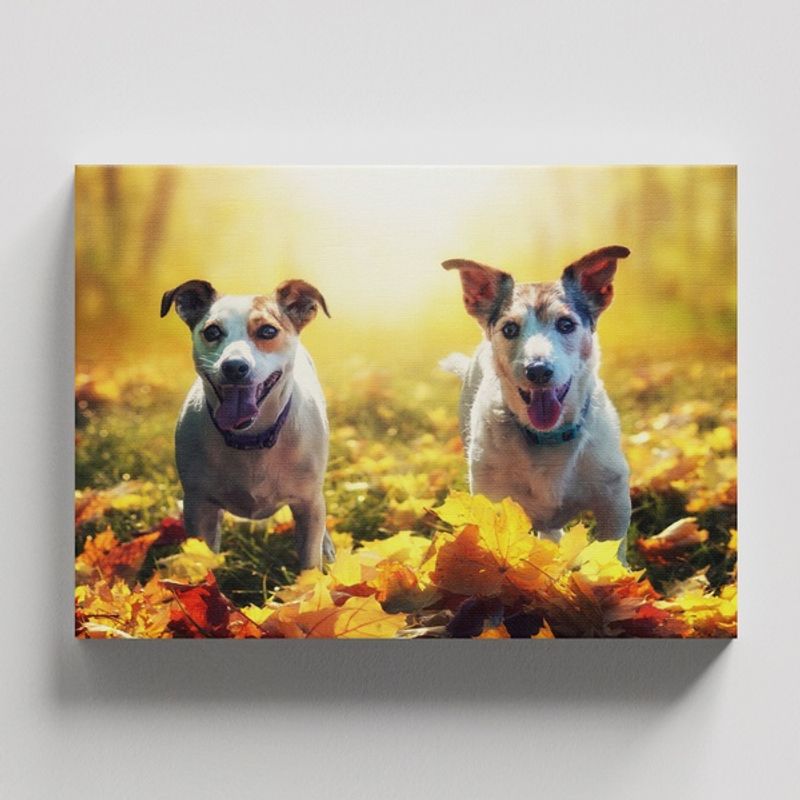 TAYRONA STORE - Cuadros Retablo Animales Perro 478 - 50x35cm