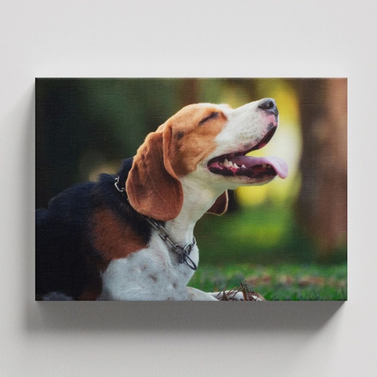 TAYRONA STORE - Cuadros Retablo Animales Perro 466 - 50x35cm.